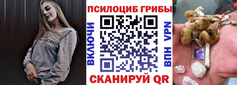 Галлюциногенные грибы ЛСД  цены наркотик  Сунжа 