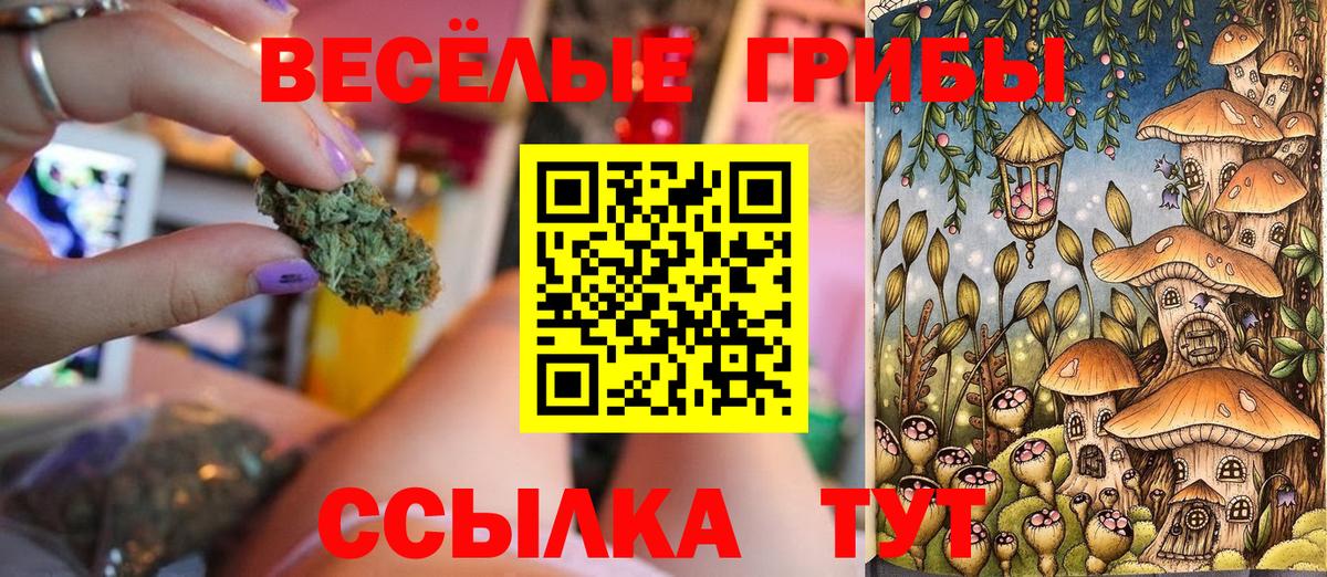 НБОМе Сунжа