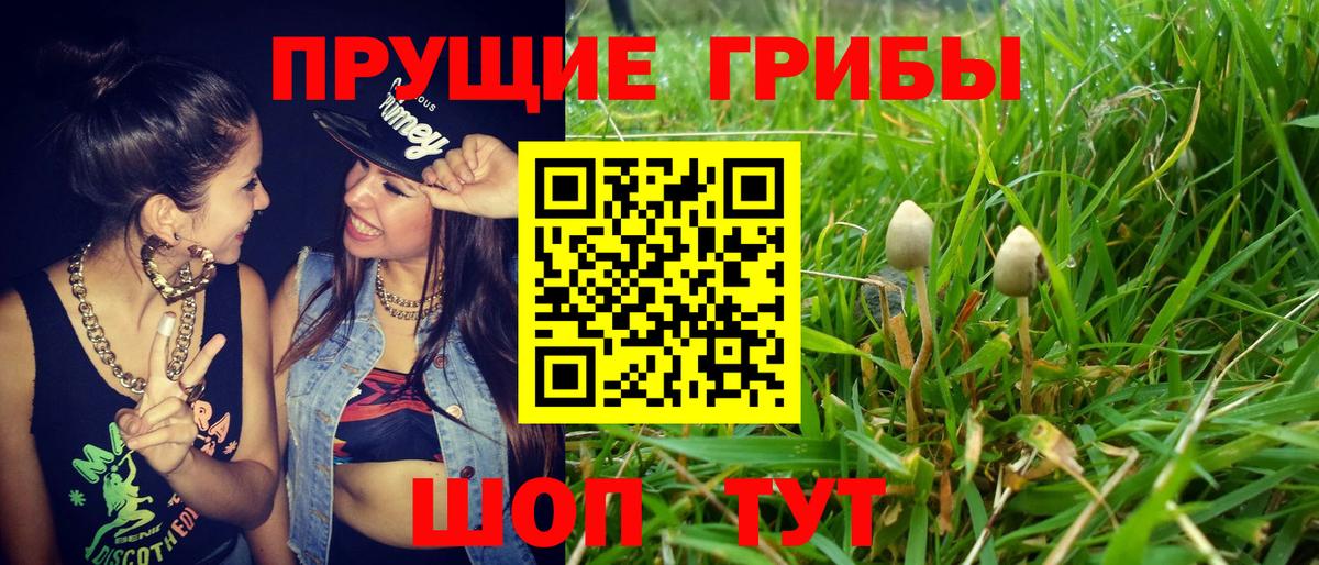 Галлюциногенные грибы прущие грибы Сунжа