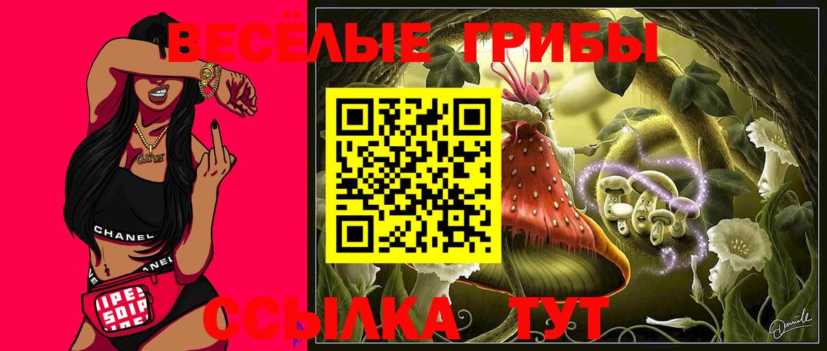Сунжа  Псилоцибиновые грибы Psilocybe  Галлюциногенные грибы Cubensis  Вход с VPN 